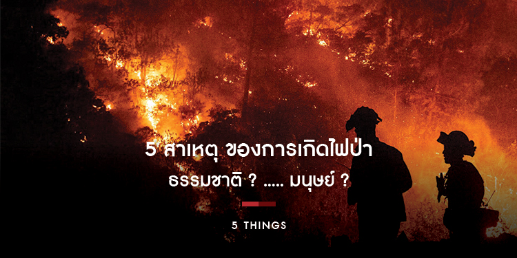 5 สาเหตุของการเกิดไฟป่า ธรรมชาติ ? ..... มนุษย์ ?